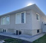 Direct Bus to City Centre & U of C, Legal Basement Shared Suite