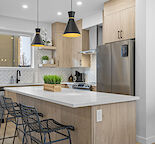 Furnished Lux Home | King Bed |Min to DT |3BR |Garage| Chef's Kitchen