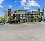 Upgraded 2 Bedroom Apartment