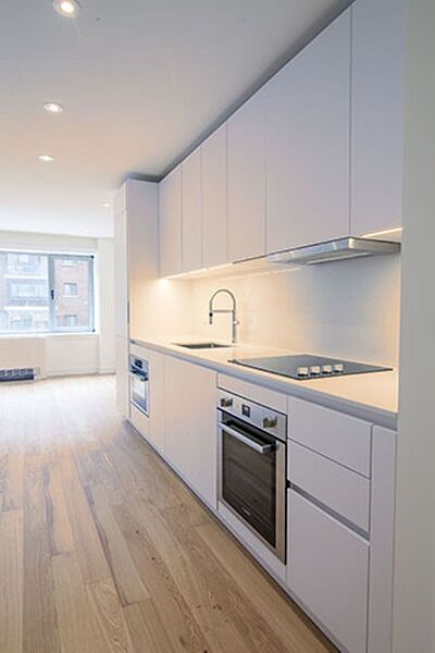 Montr&eacute;al 1 bedrooms Apartment for rent. Property photo: 549601-2