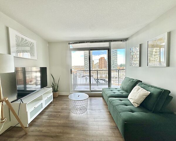 Newly renovated and furnished cozy one bedroom with a dan downtown