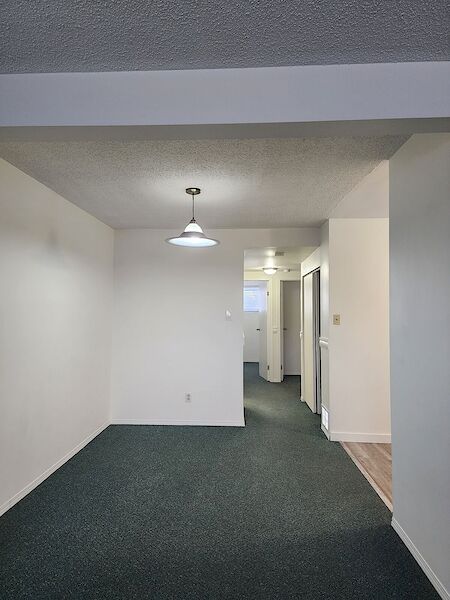 Calgary 2 bedrooms Basement for rent. Property photo: 553209-3
