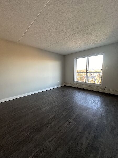 L O C A T I O N & A F F O R D A B L E 2 BED IN KENSINGTON!