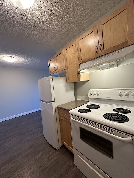 Calgary 2 bedrooms Condo Unit for rent. Property photo: 553481-3