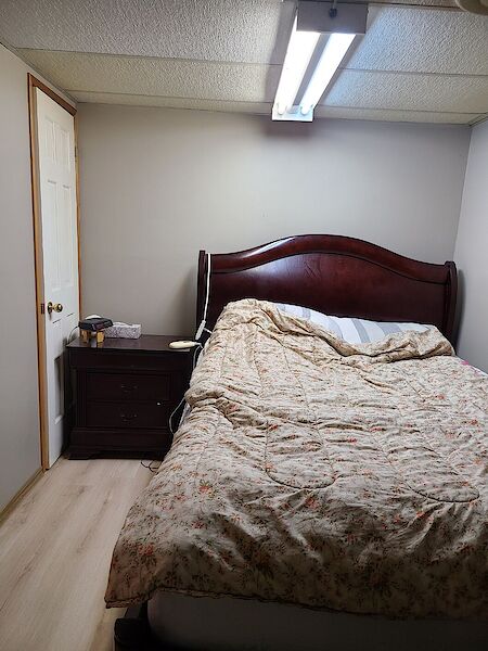 Calgary 2 bedrooms Basement for rent. Property photo: 556020-2