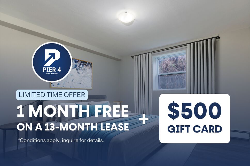 London 1 bedroom Apartment for rent. Property photo: 556581-1