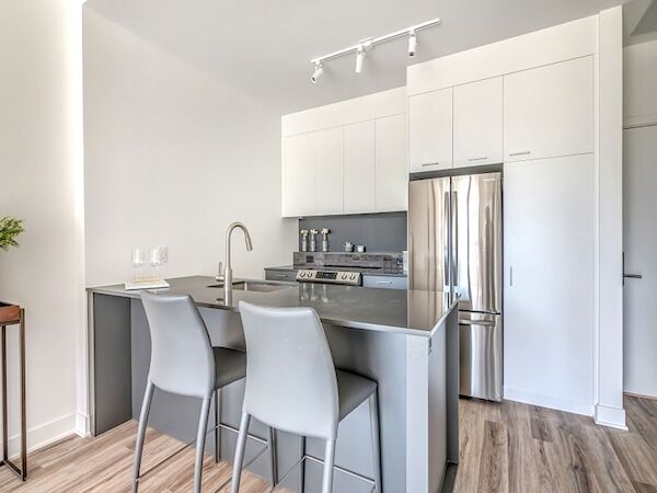 Montr&eacute;al 1 bedrooms Apartment for rent. Property photo: 556615-3