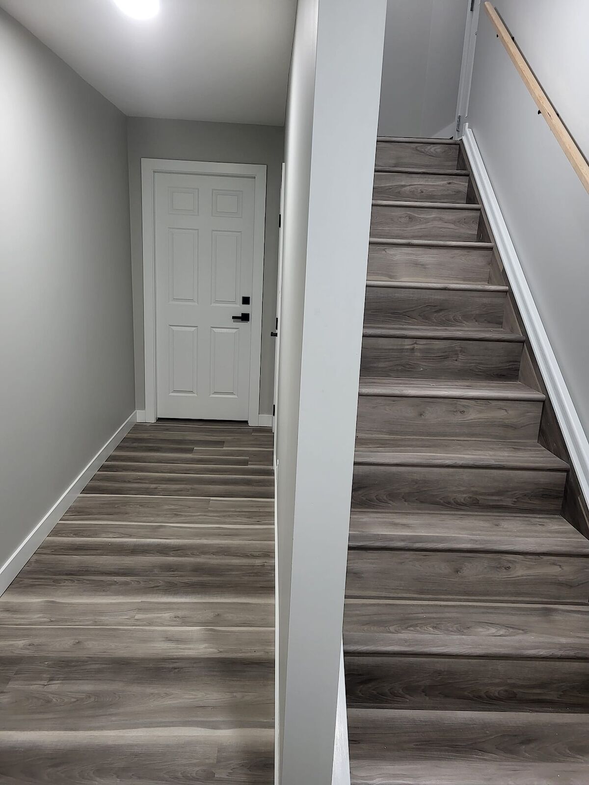 Calgary 1 + Den bedrooms Basement for rent. Property photo: 558482-1