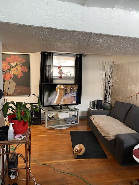 Calgary 1 bedroom Basement for rent. Property photo: 559920-2