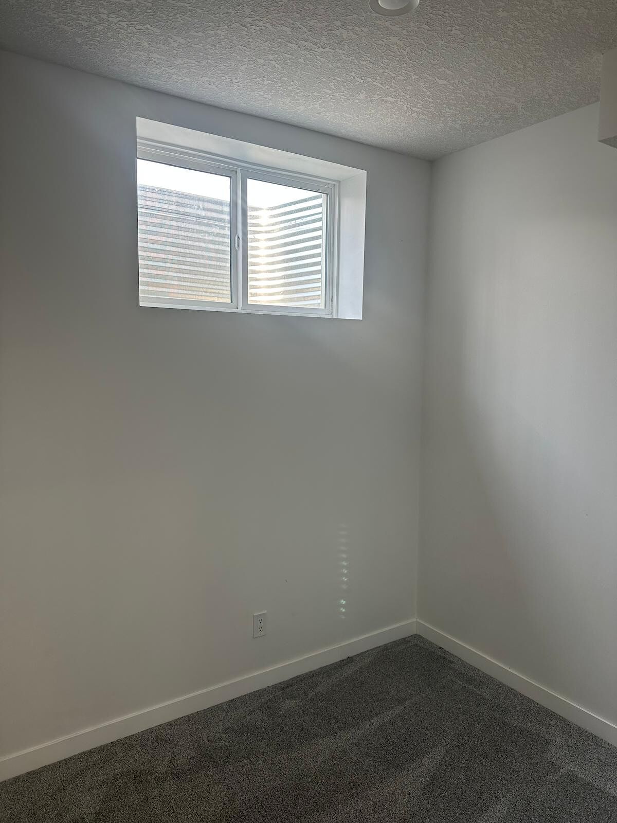 Calgary 2 bedrooms Basement for rent. Property photo: 561399-1