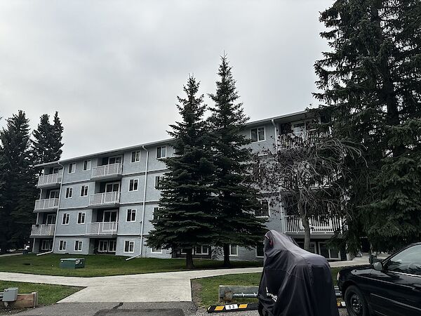 University students/staff, med staff NEWLY RENO’ED in desirable Dalhousie!