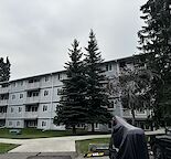 University students/staff, med staff NEWLY RENO’ED in desirable Dalhousie!