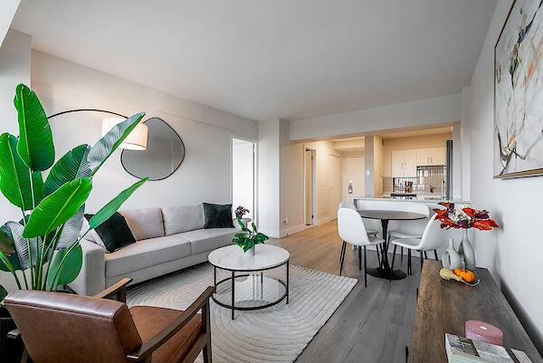 Montr&eacute;al 1 bedrooms Apartment for rent. Property photo: 562811-2
