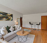 Amazing 2 Bedroom + 1 Bath in Rosemont