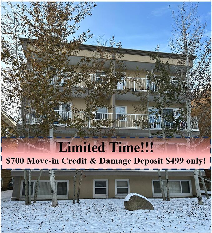 Calgary 1 bedroom Apartment for rent. Property photo: 563923-1
