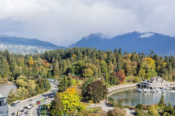 Vancouver 1 bedroom Apartment for rent. Property photo: 565653-3
