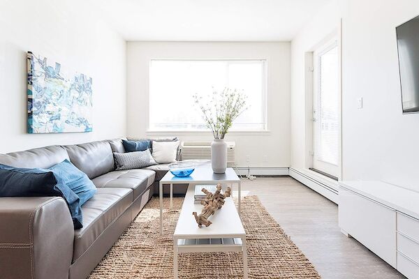 Edmonton 1 bedroom Apartment for rent. Property photo: 567102-3