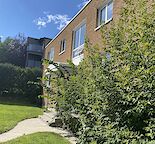 Spacious Top floor 2 Bedroom Unit, pet friendly