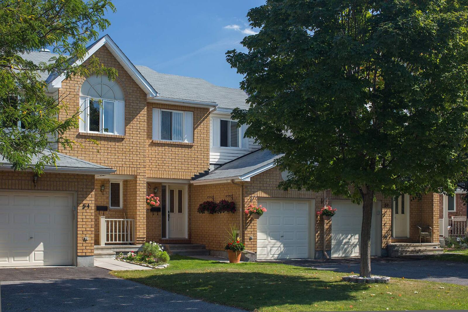 Ottawa 3 bedrooms Townhouse for rent. Property photo: 569747-1