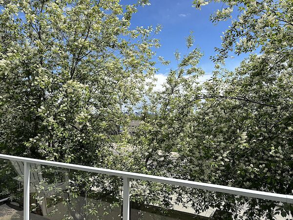 Calgary 2 bedrooms Townhouse for rent. Property photo: 572058-3