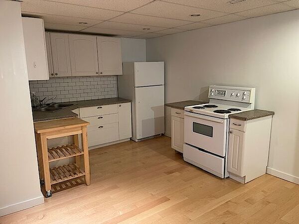 Calgary 1 bedroom Basement for rent. Property photo: 572265-3