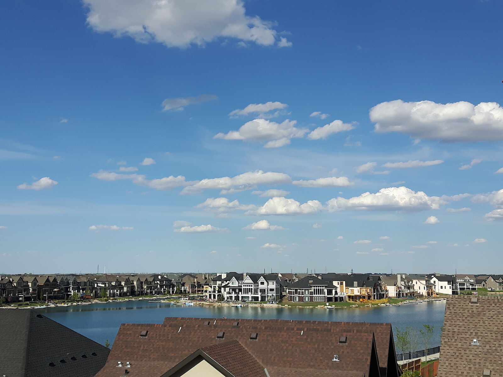 Calgary 1 + Den bedrooms Condo Unit for rent. Property photo: 573048-1