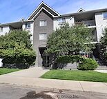 Spacious 1-Bedroom Apartment in Desirable Marda Loop (RP306)