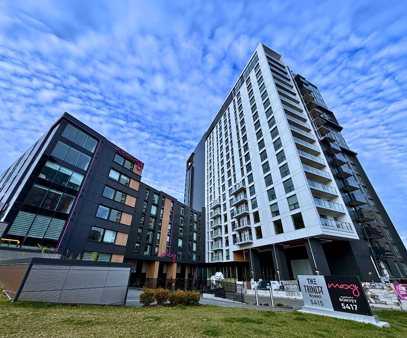 Halifax Pet Friendly Apartment For Rent | A harmonious balance