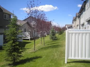 Calgary 3 bedrooms Townhouse for rent. Property photo: 5783-1