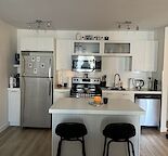 ALL UTILITIES FURNISHED 1 Bedroom Condo in the Heart of Downtown