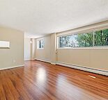 SAIT Student Special: Hillhurst-Kensington Condo.