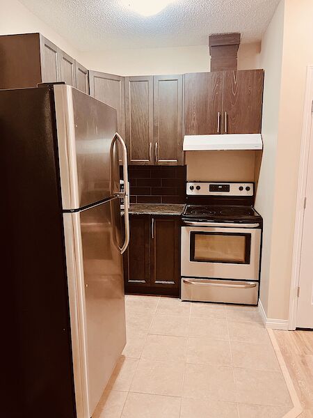 Calgary 1 bedroom Basement for rent. Property photo: 587712-2