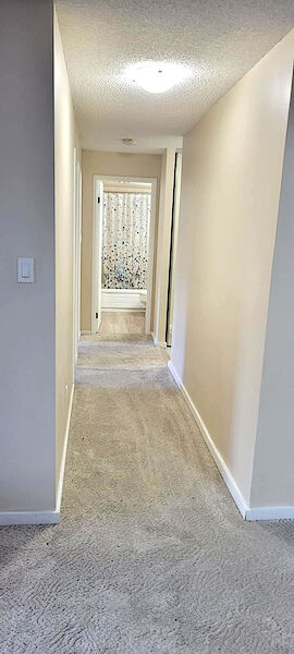 Calgary 2 bedrooms Condo Unit for rent. Property photo: 589157-2