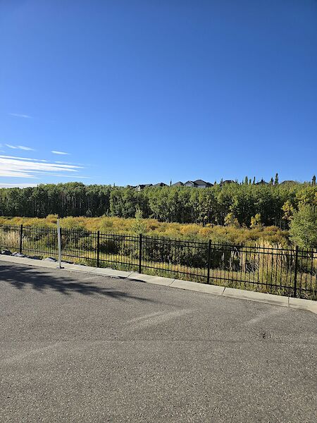 Calgary 2 + Den bedrooms Townhouse for rent. Property photo: 590026-3