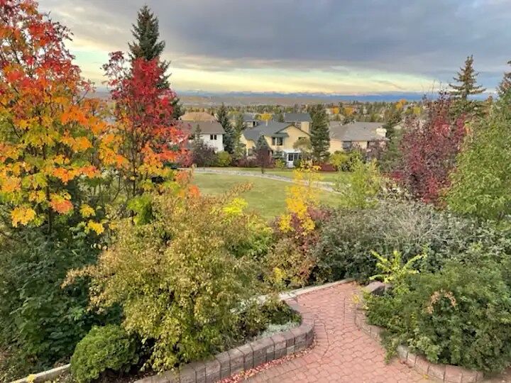 Calgary 2 bedrooms Basement for rent. Property photo: 596837-1