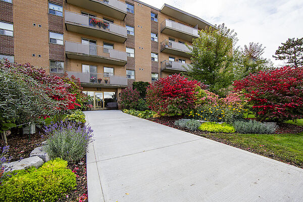 Orangeville bachelor bedrooms Apartment for rent. Property photo: 597812-2