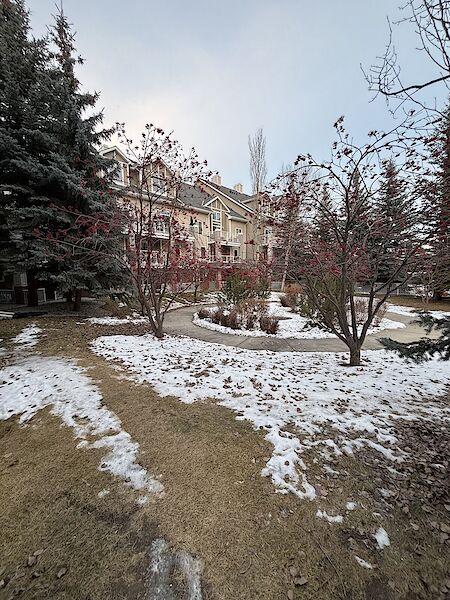 Calgary 1 bedroom Condo Unit for rent. Property photo: 598938-3