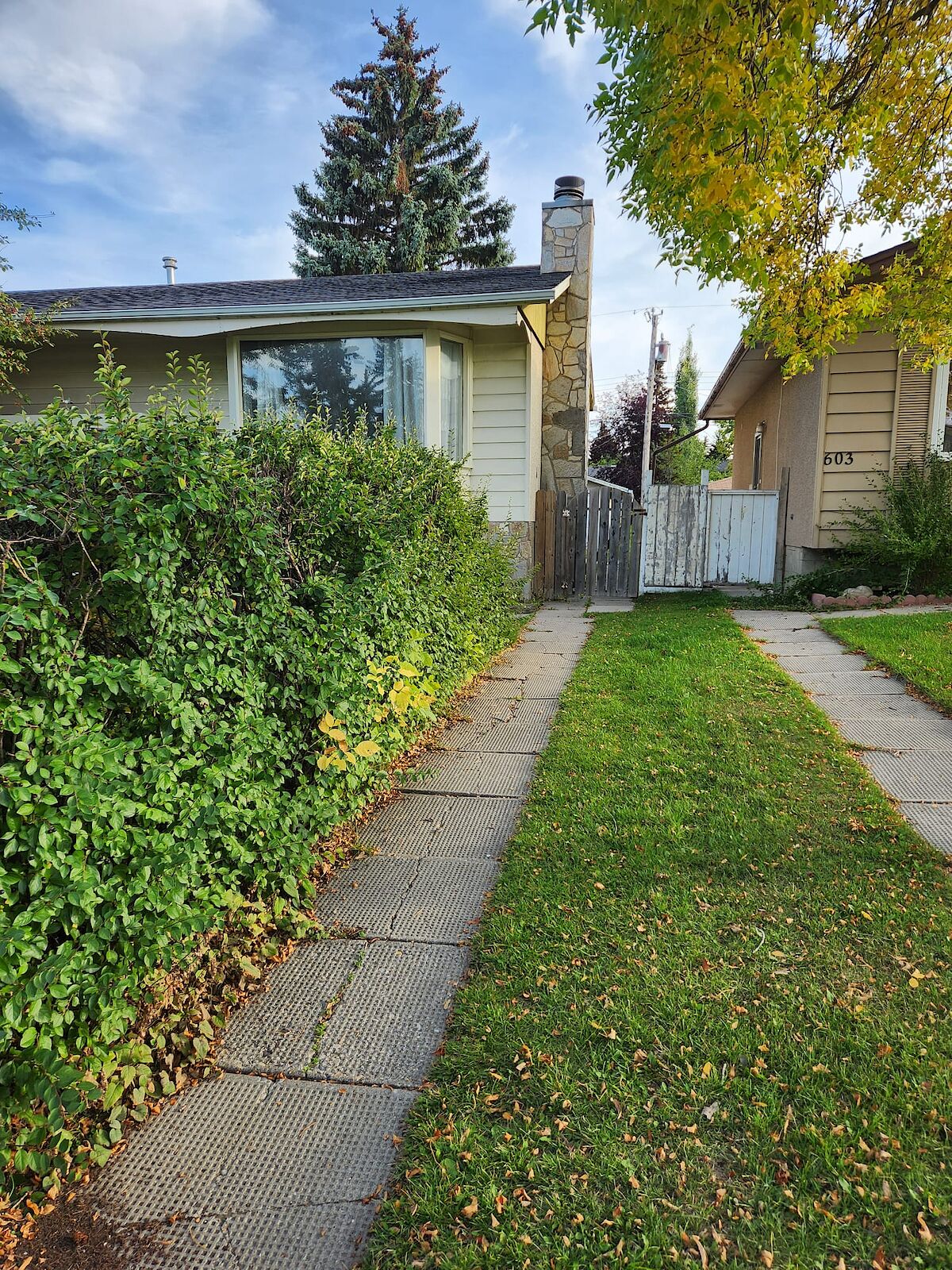 Calgary 3 bedrooms Basement for rent. Property photo: 600872-1