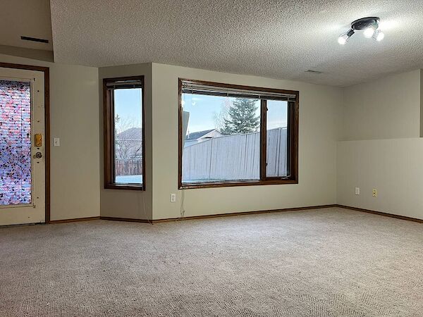 Bright and Spacious Walkout Basement