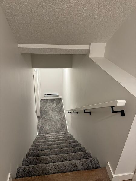 Lovely 1 Bedroom Basement