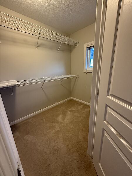 Calgary 2 bedrooms Room For Rent for rent. Property photo: 604358-3
