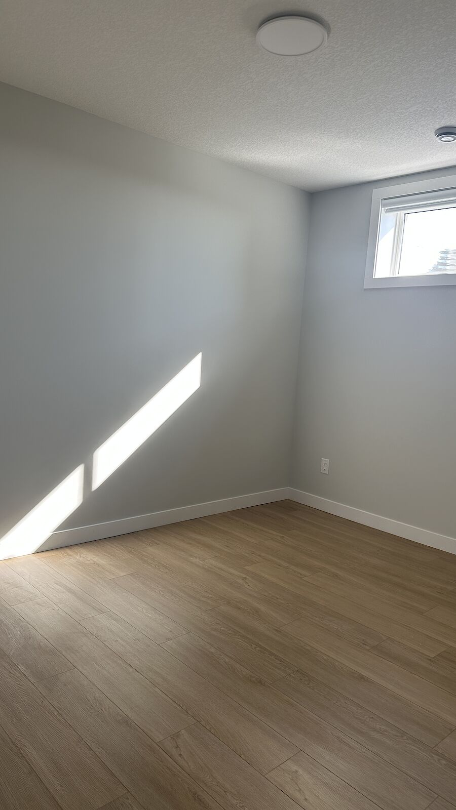 Calgary 2 bedrooms Basement for rent. Property photo: 609906-1