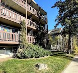Charming 1 Bedroom Apartment in Crescent Heights with City View