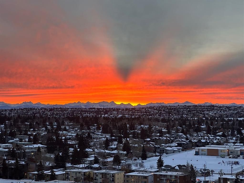 Calgary 2 + Den bedrooms Condo Unit for rent. Property photo: 621187-1