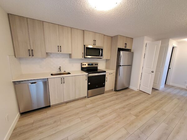 Calgary 2 bedrooms Basement for rent. Property photo: 629489-2