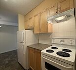 Updated 1 BEDROOM Lower Level Suite in Crescent Heights AVAILABLE NOW!
