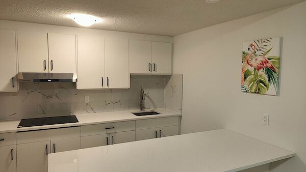 Calgary 3 bedrooms House for rent. Property photo: 630966-3