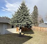 Fully reno'd large basement Suite (2 bedroom)