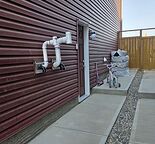 Spacious Bright Basement in Carrington