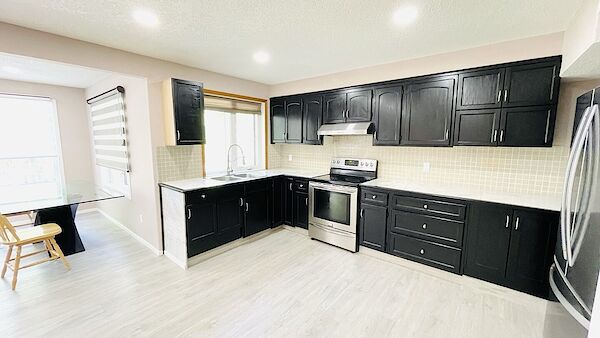 Calgary 2 bedrooms Basement for rent. Property photo: 638558-2